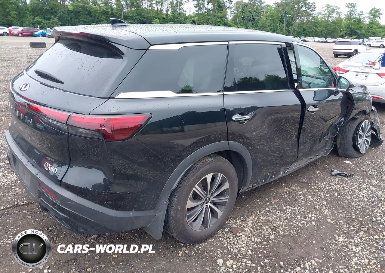 2024 Infiniti Qx60 Pure Awd VIN:5N1DL1ES3RC353686 - 4