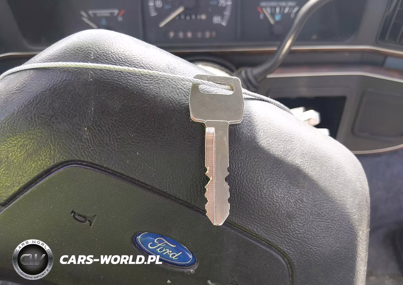 1991 Ford F150 VIN:1FTDF15N3MNA28975 - 11