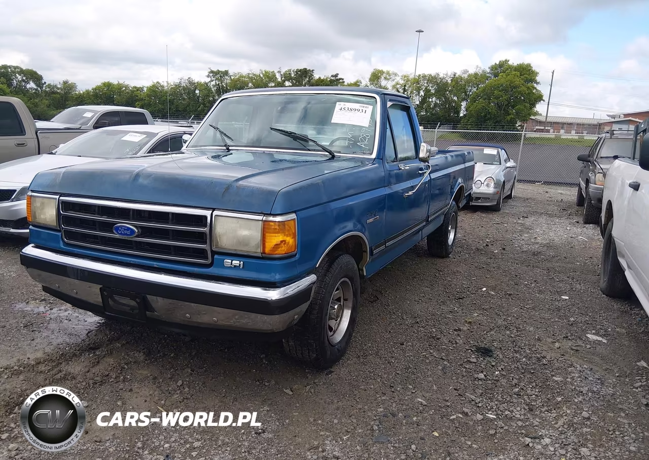 1991 Ford F150 VIN:1FTDF15N3MNA28975 - 2