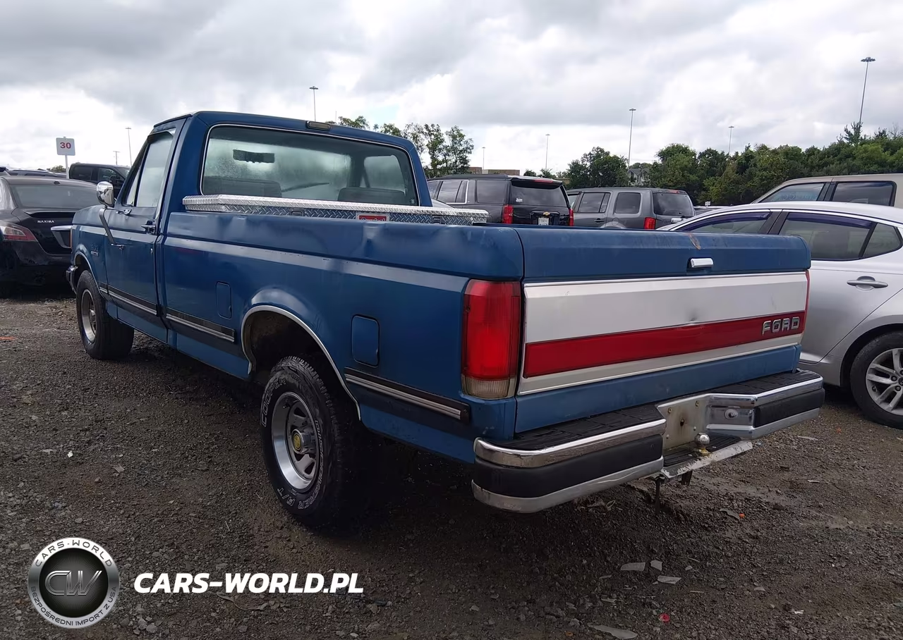 1991 Ford F150 VIN:1FTDF15N3MNA28975 - 3