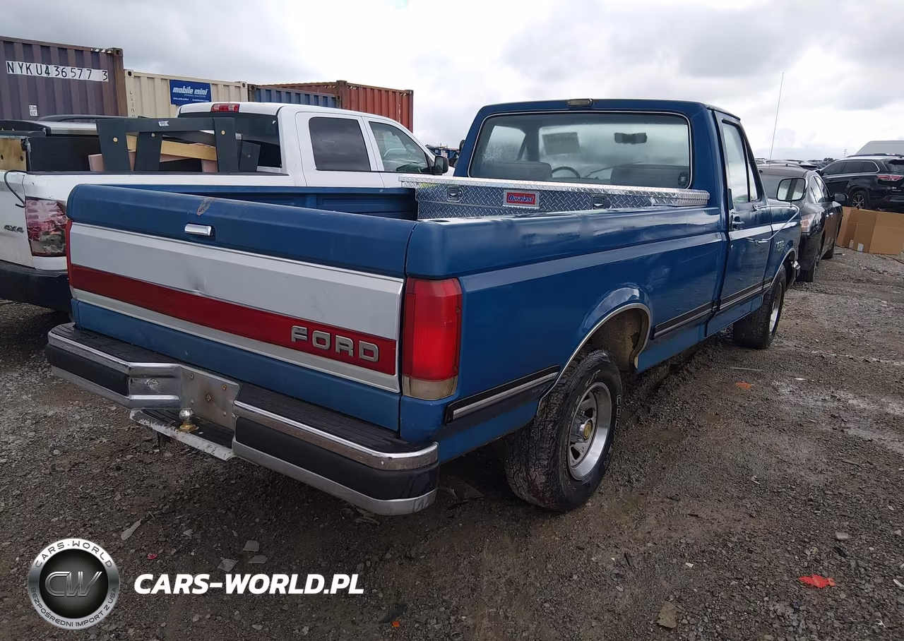 1991 Ford F150 VIN:1FTDF15N3MNA28975 - 4