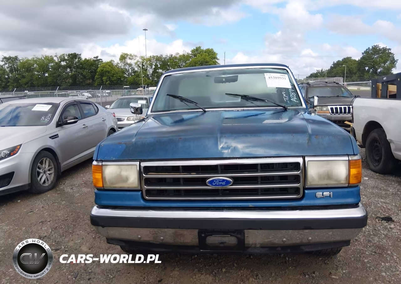 1991 Ford F150 VIN:1FTDF15N3MNA28975 - 6