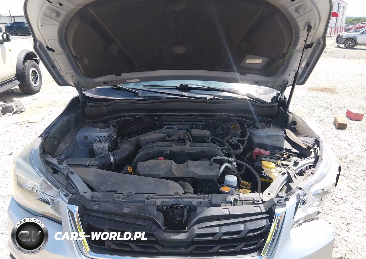 2017 Subaru Forester 2.5I VIN:JF2SJABC0HH403381 - 10
