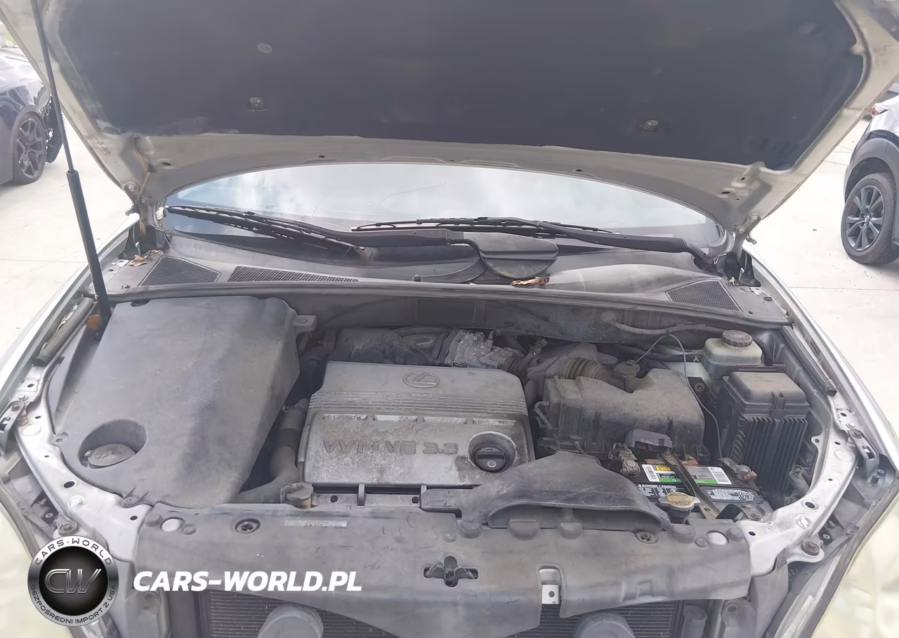 2004 Lexus Rx 330 VIN:JTJGA31U140012837 - 10