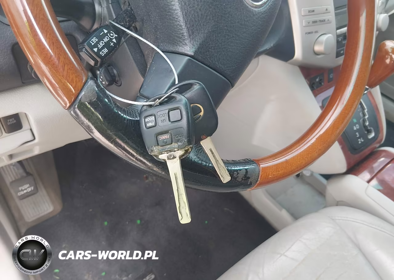 2004 Lexus Rx 330 VIN:JTJGA31U140012837 - 11