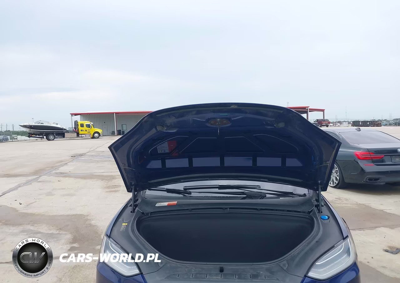 2017 Tesla Model X 100D-75D-90D VIN:5YJXCBE24HF054703 - 10