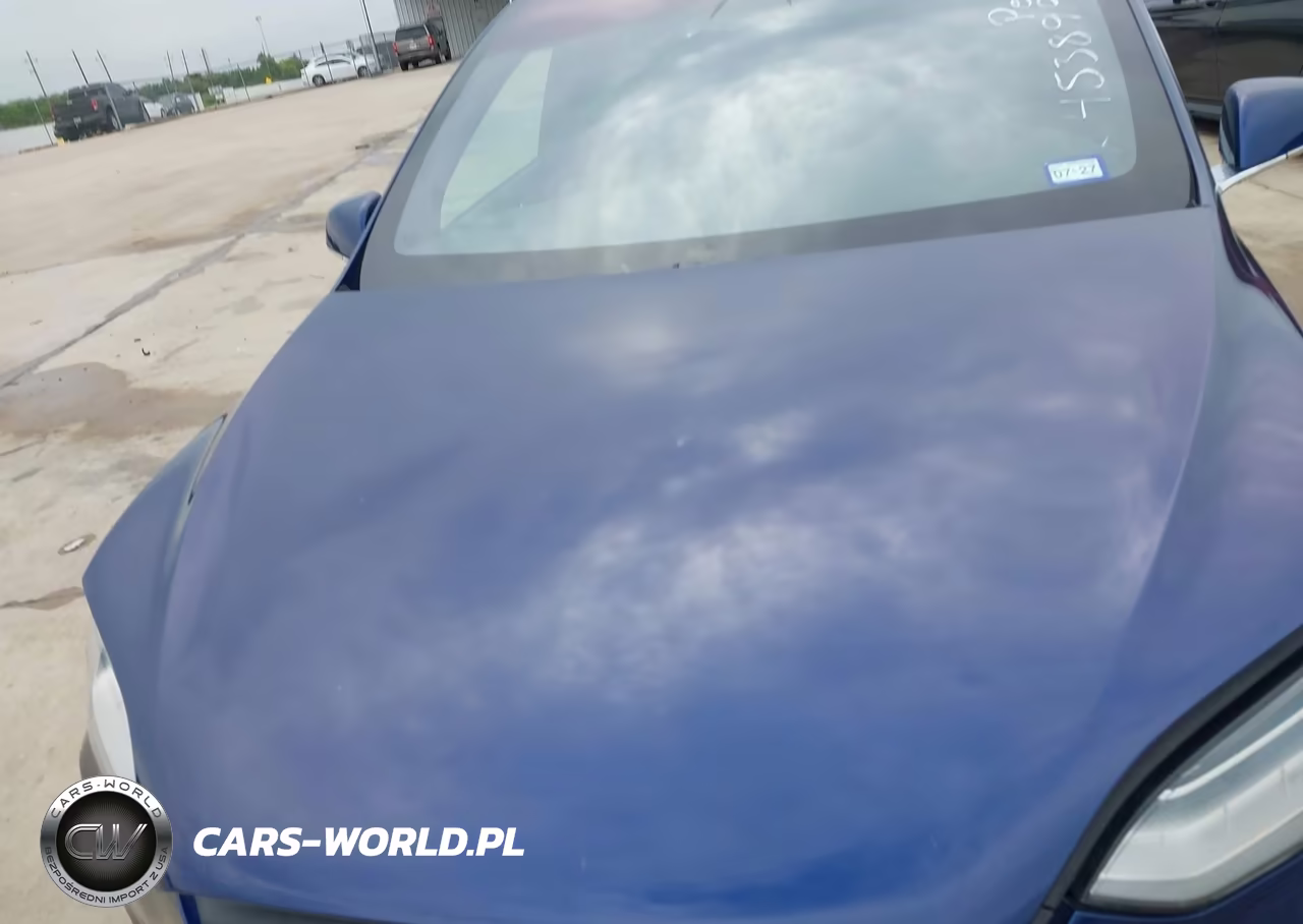 2017 Tesla Model X 100D-75D-90D VIN:5YJXCBE24HF054703 - 6