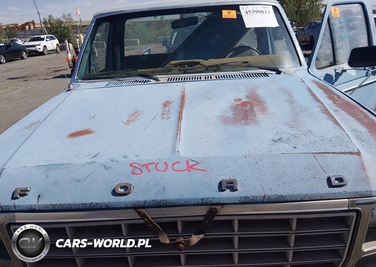 1980 Ford F-250 VIN:F25FPJJ0301 - 10