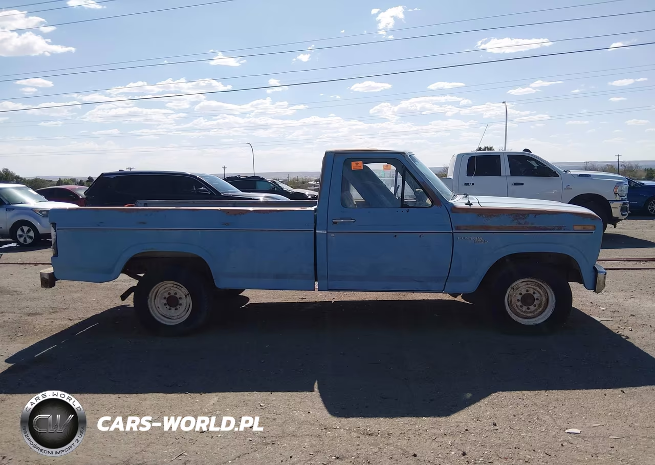 1980 Ford F-250 VIN:F25FPJJ0301 - 13