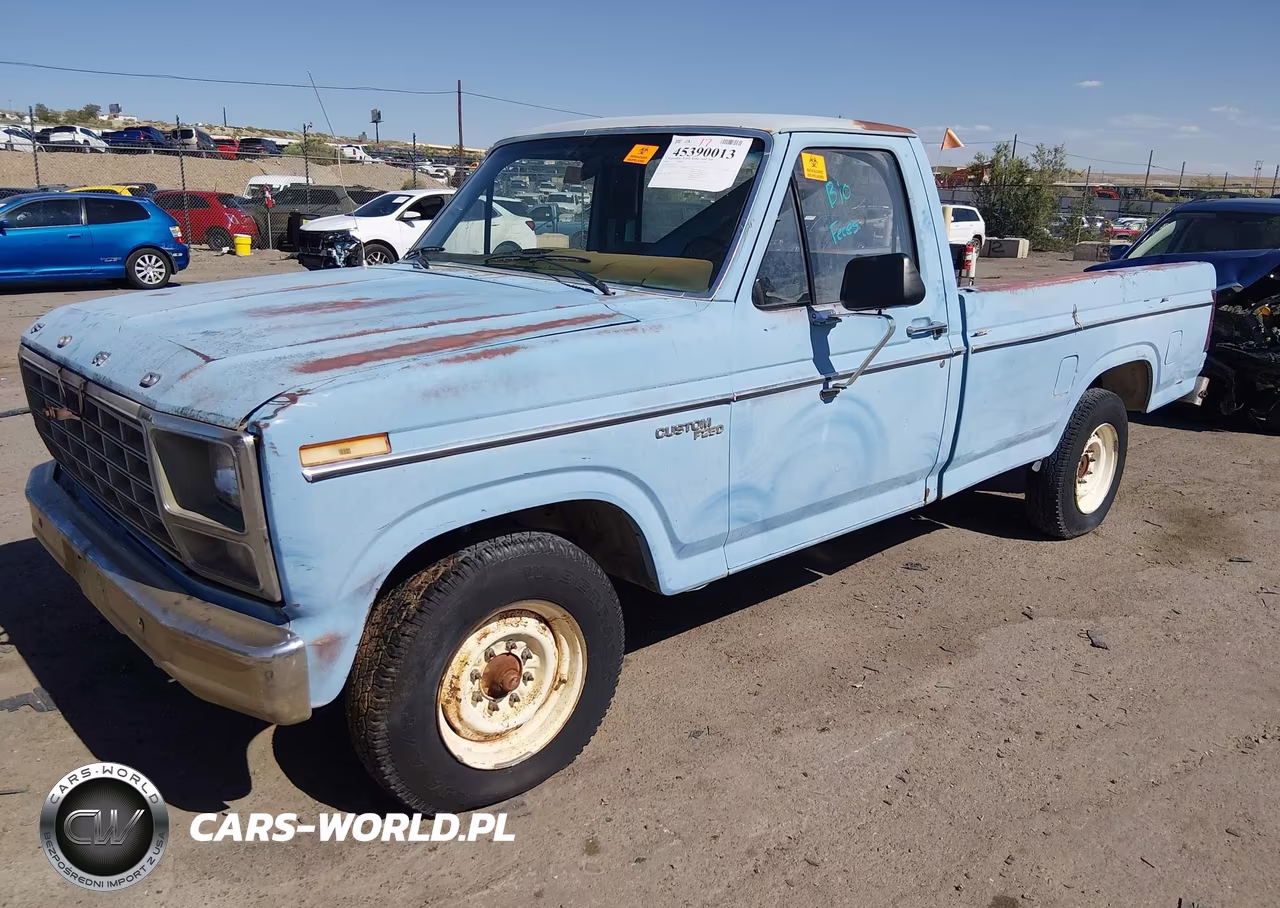 1980 Ford F-250 VIN:F25FPJJ0301 - 2