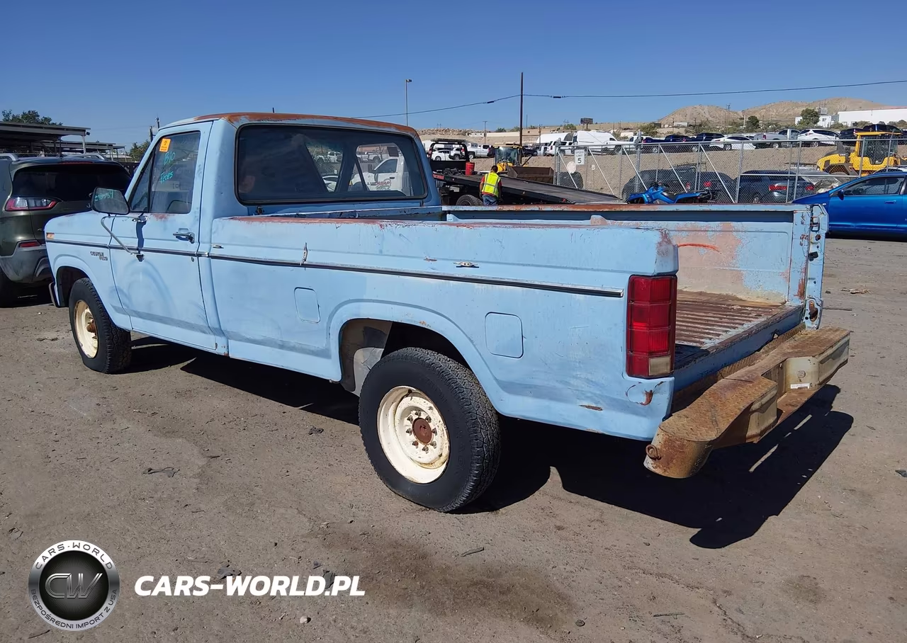 1980 Ford F-250 VIN:F25FPJJ0301 - 3