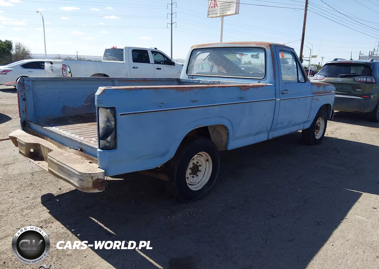 1980 Ford F-250 VIN:F25FPJJ0301 - 4