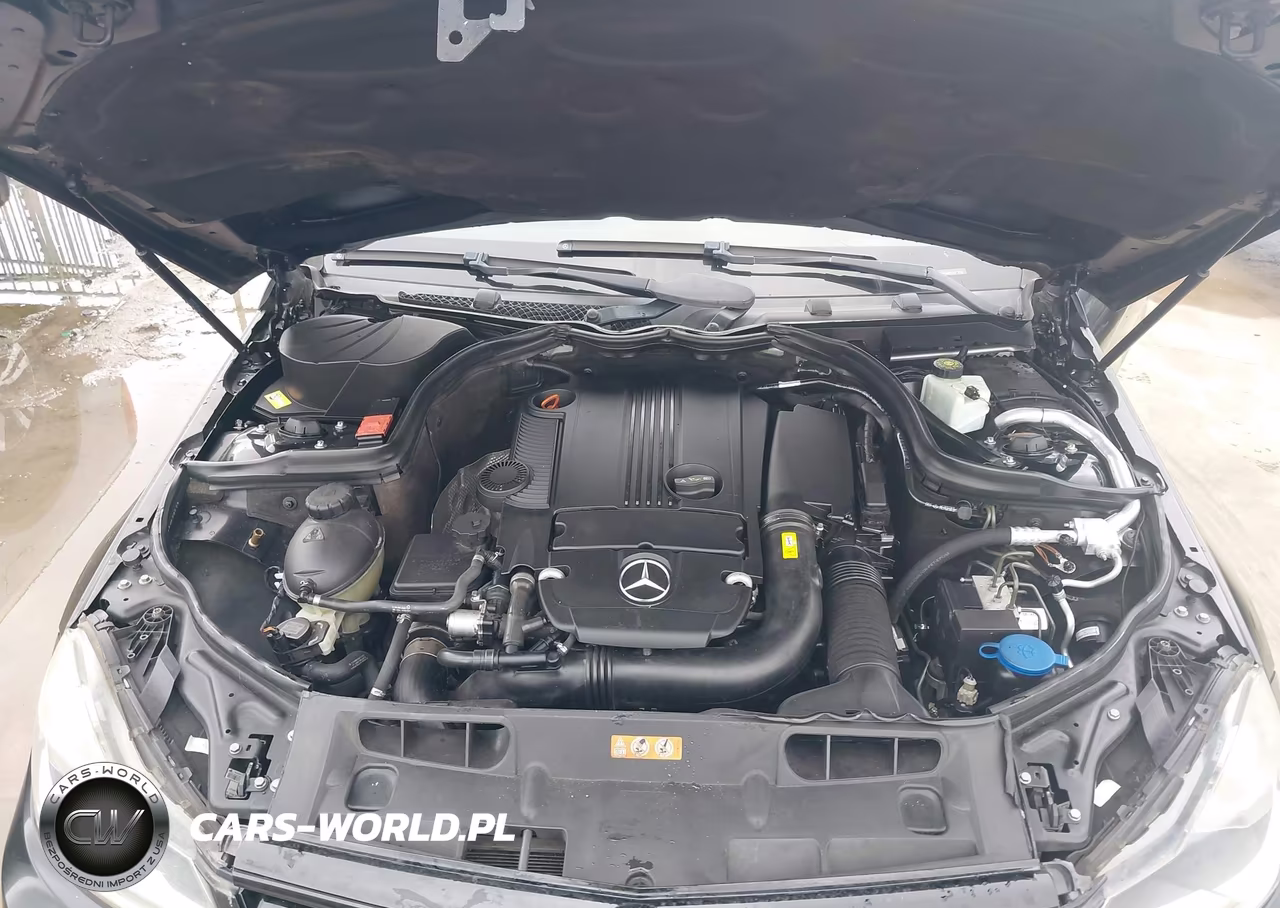 2013 Mercedes-Benz C 250 VIN:WDDGJ4HB6DF999936 - 10