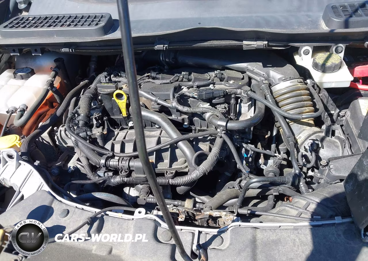 2014 Ford Escape Se VIN:1FMCU9GX5EUA02248 - 10
