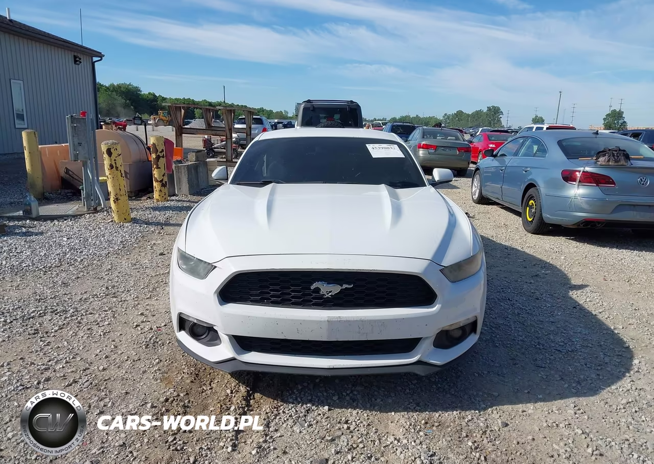 2015 Ford Mustang Ecoboost VIN:1FA6P8TH8F5337085 - 13