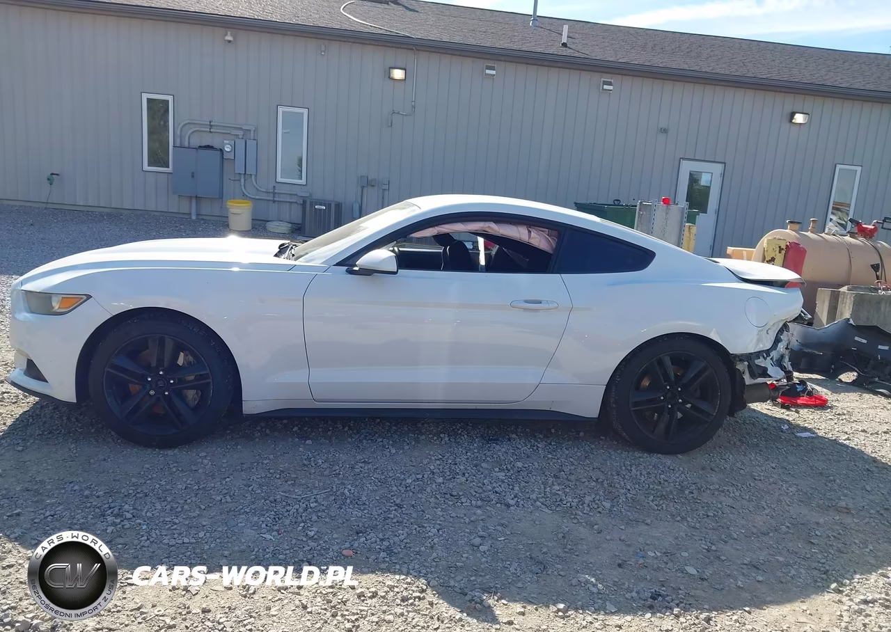 2015 Ford Mustang Ecoboost VIN:1FA6P8TH8F5337085 - 15