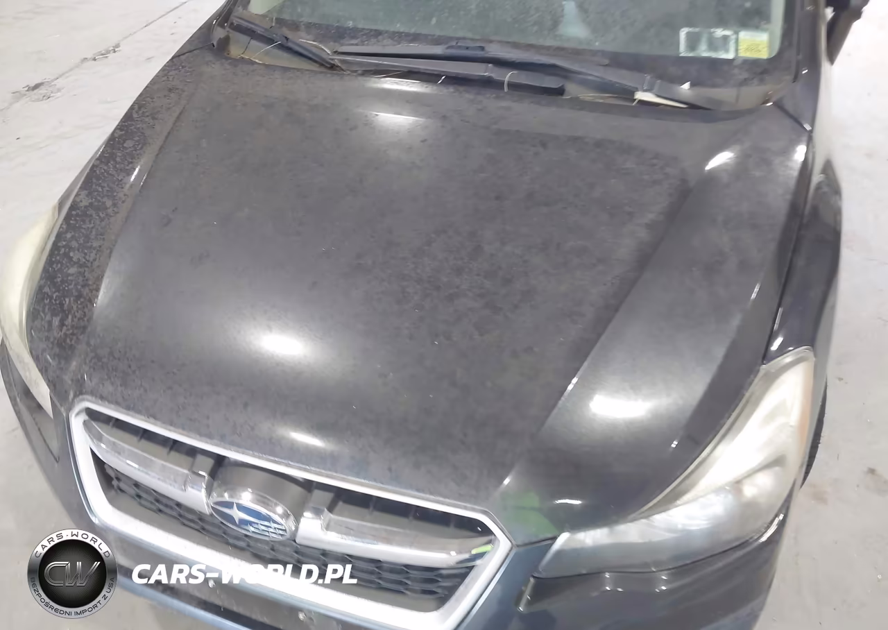 2013 Subaru Impreza 2.0I Premium VIN:JF1GPAC64DH811572 - 10