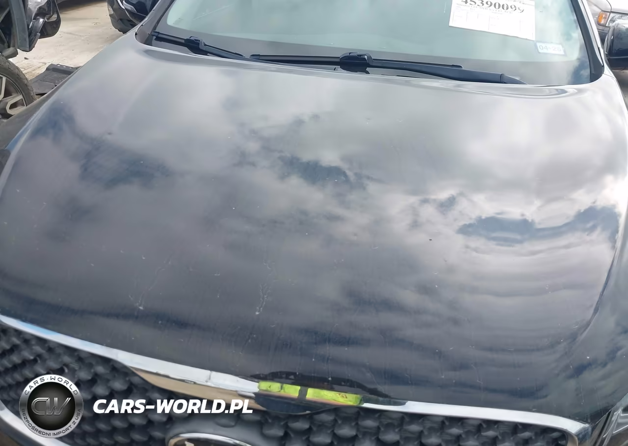 2018 Kia Sorento 2.4L L VIN:5XYPG4A37JG427505 - 6