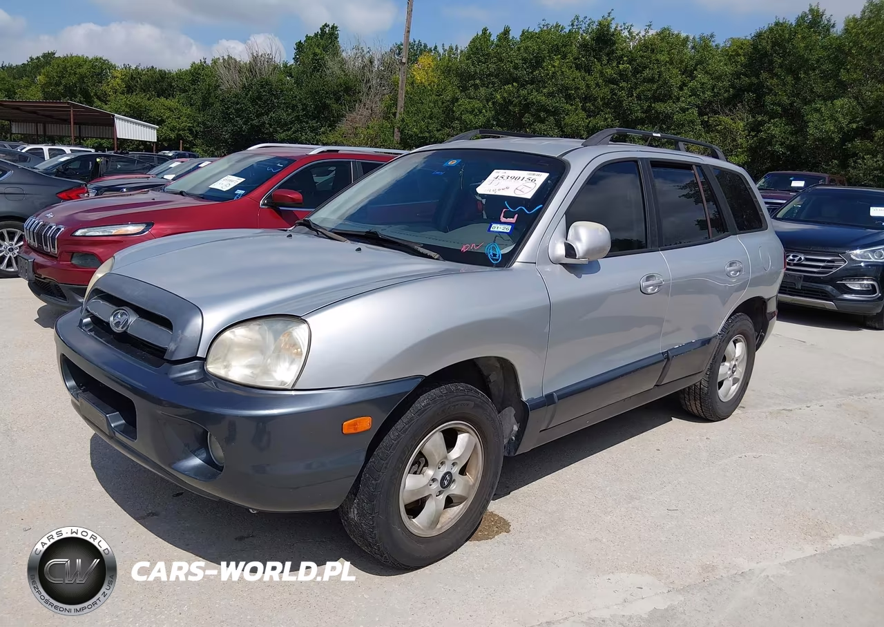 2006 Hyundai Santa Fe Gls VIN:KM8SC13DX6U034349 - 2