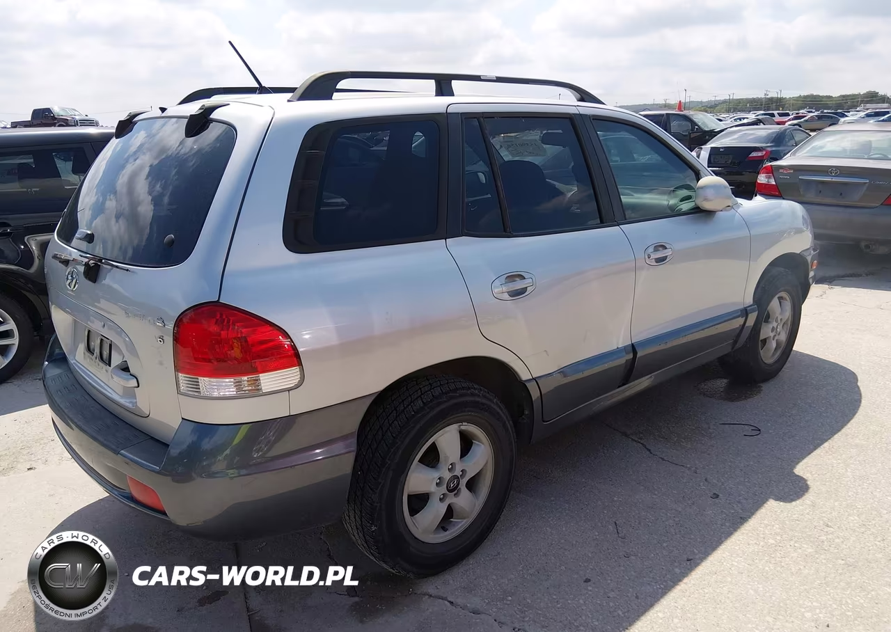 2006 Hyundai Santa Fe Gls VIN:KM8SC13DX6U034349 - 4