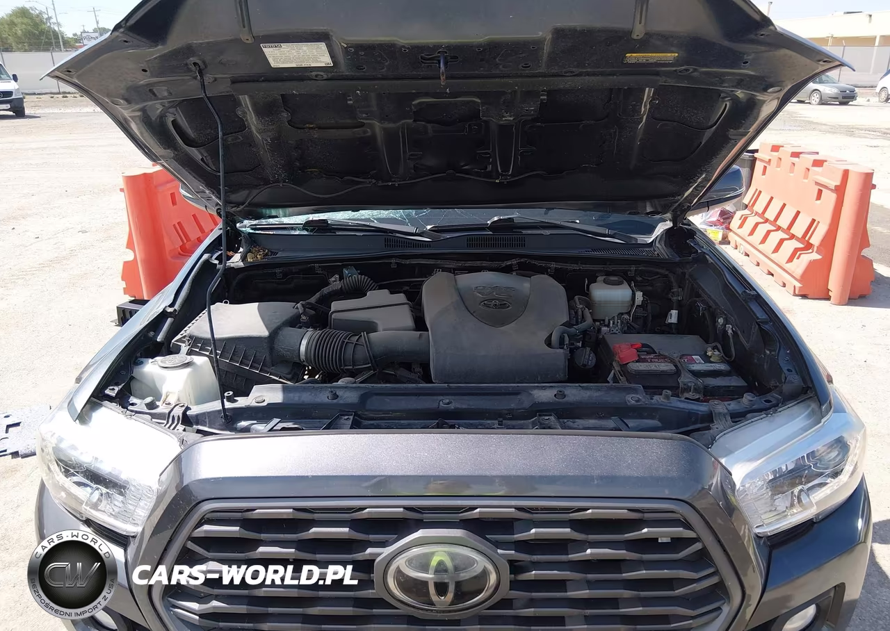 2020 Toyota Tacoma Trd Off-Road VIN:3TMCZ5AN4LM342644 - 10