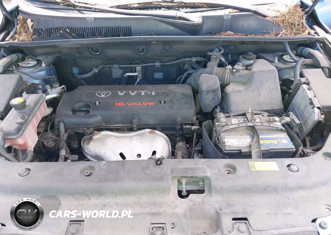 2006 Toyota Rav4 VIN:JTMBD33V965009572 - 10