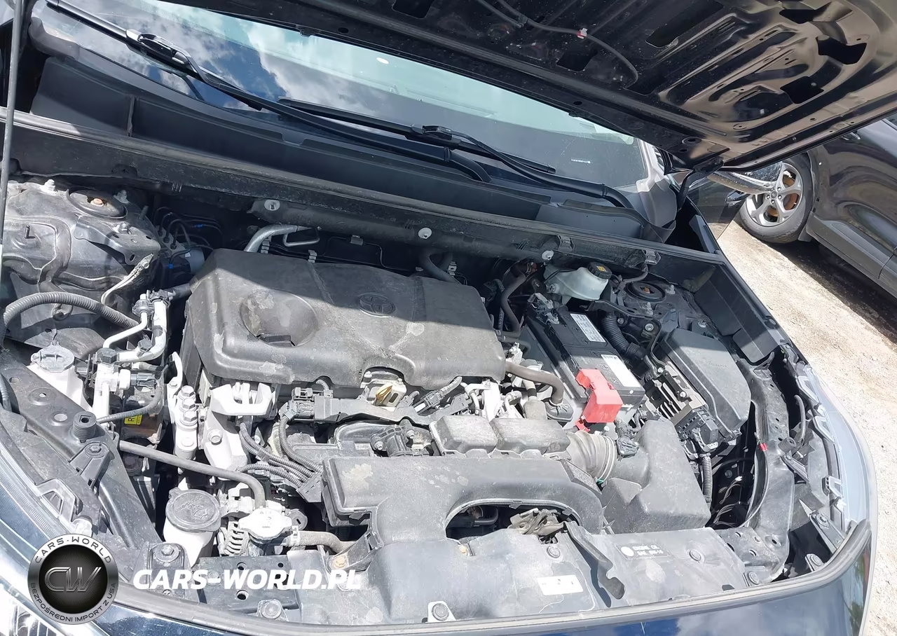 2019 Toyota Rav4 Le VIN:2T3G1RFV8KW014231 - 10