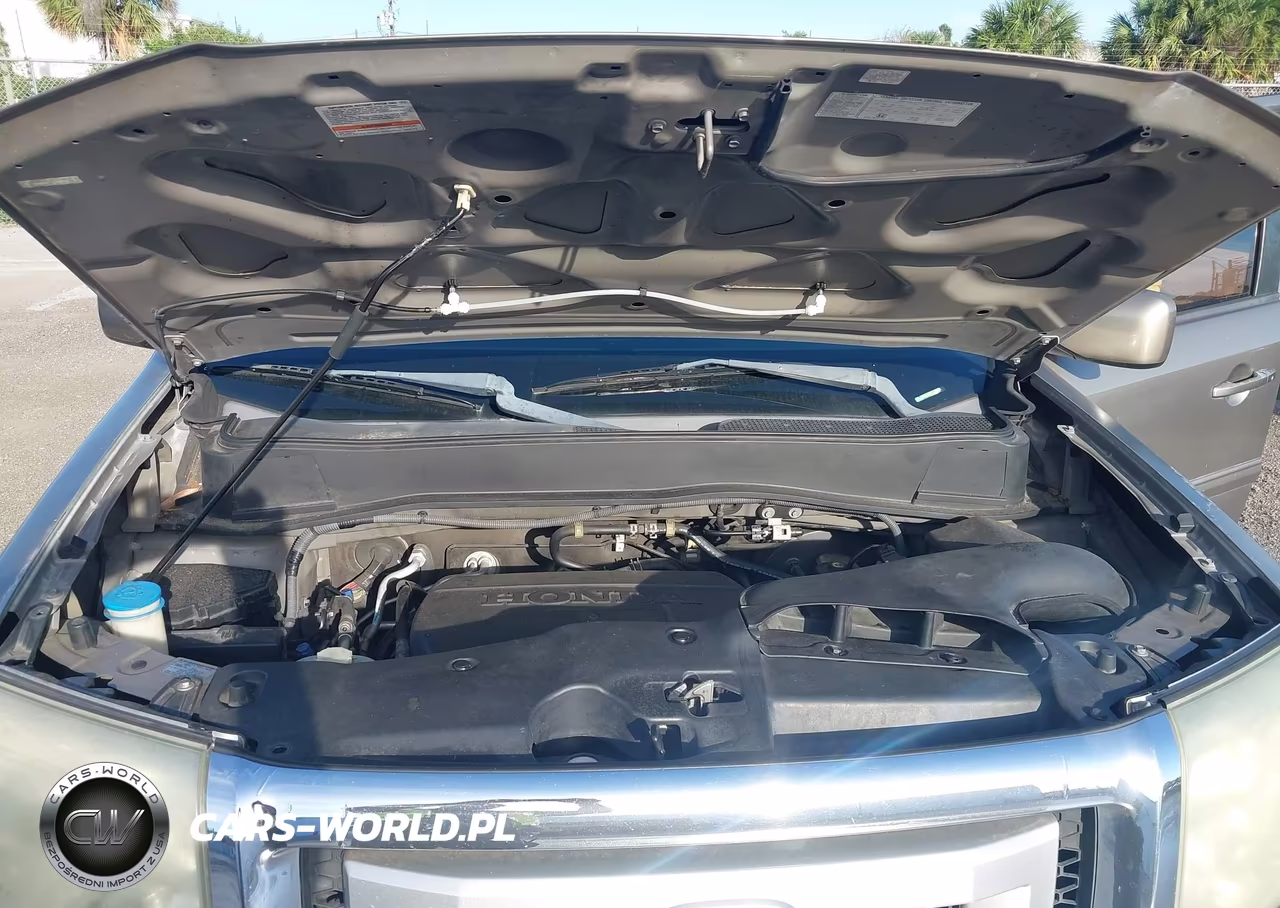 2009 Honda Pilot Ex-L VIN:5FNYF48569B050392 - 10