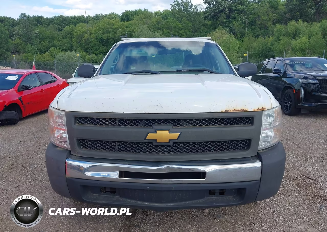 2013 Chevrolet Silverado 1500 Work Truck VIN:1GCRCPEX9DZ149487 - 12