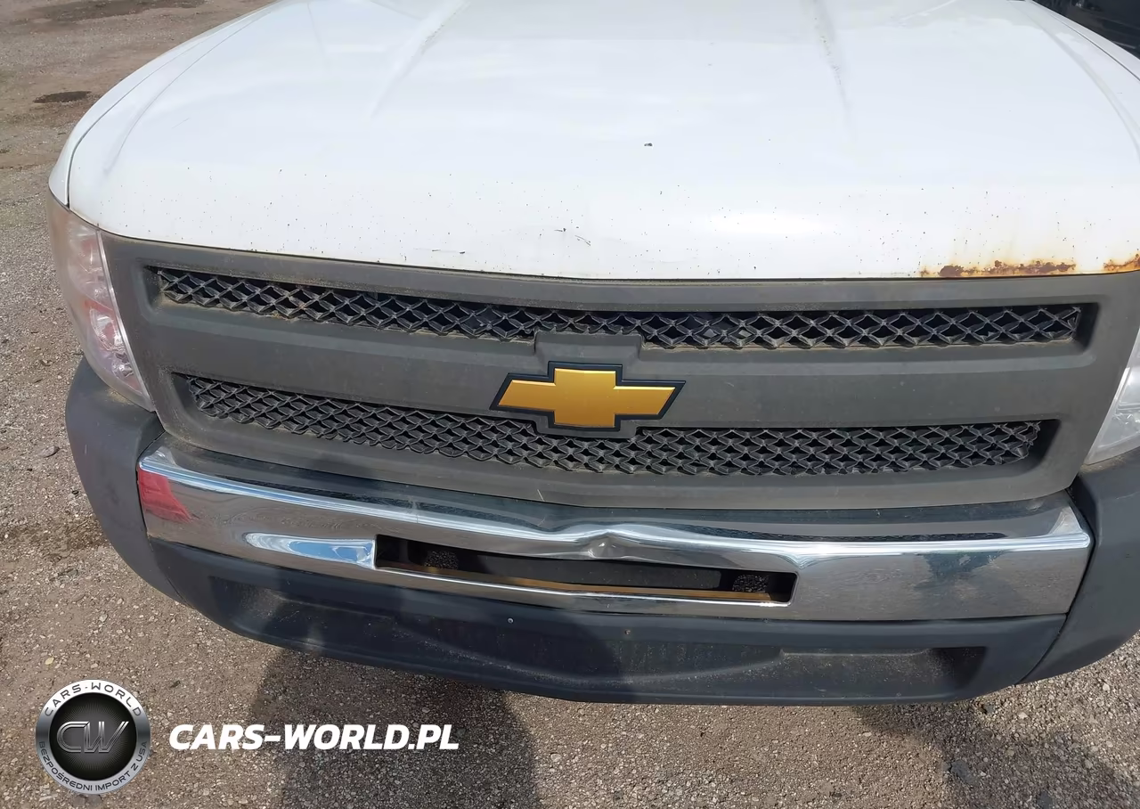 2013 Chevrolet Silverado 1500 Work Truck VIN:1GCRCPEX9DZ149487 - 6