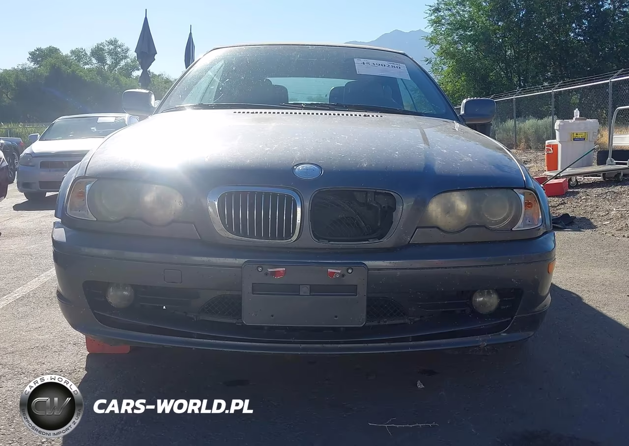 2002 BMW 3 Series 325Ci VIN:WBABS33402PG88269 - 12