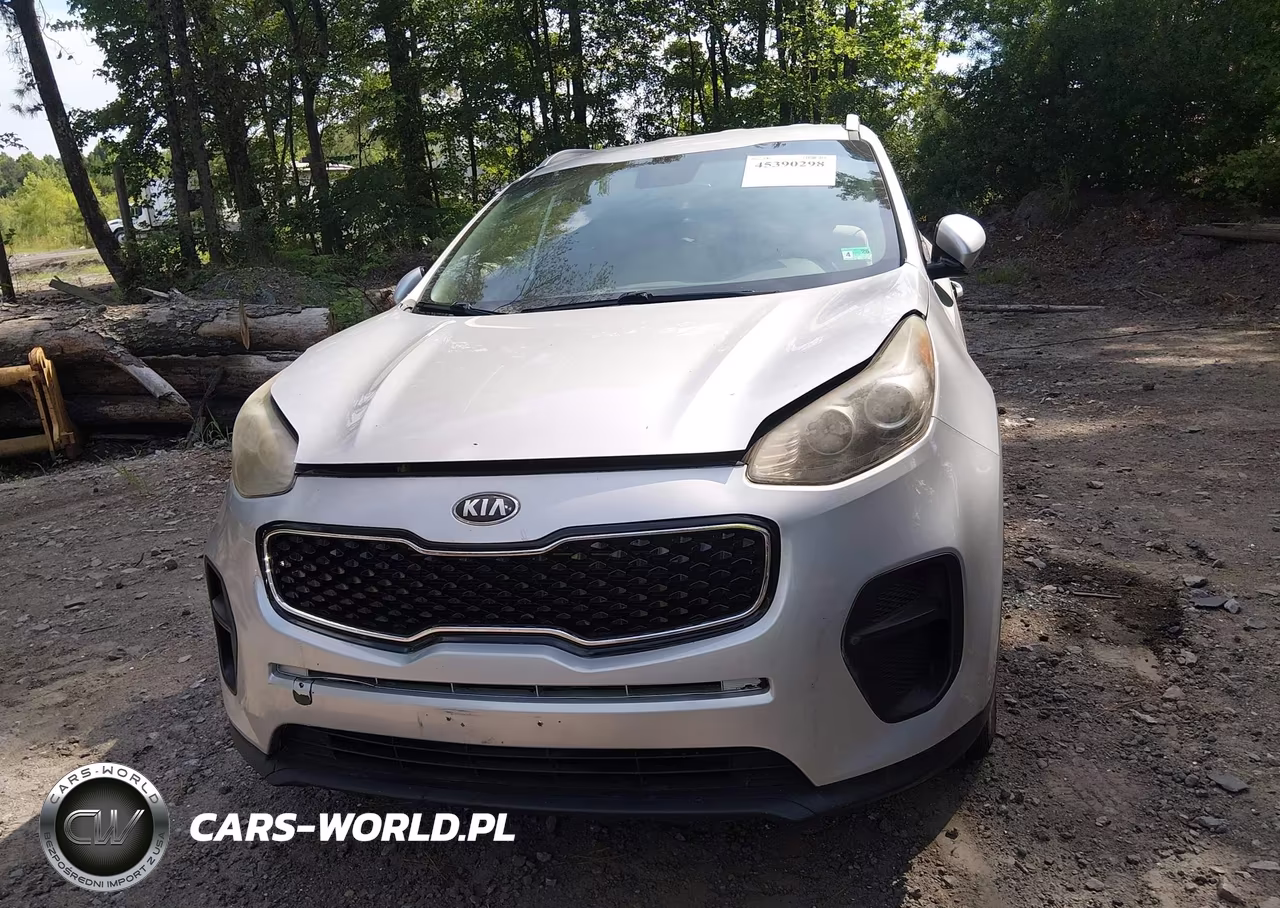2017 Kia Sportage Lx VIN:KNDPM3AC1H7211644 - 12
