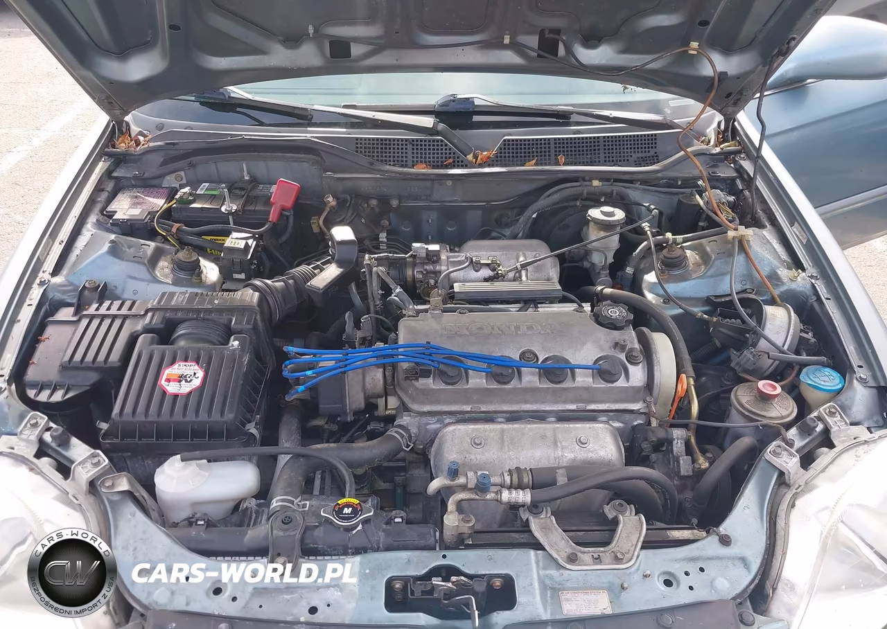 2000 Honda Civic Ex VIN:1HGEJ8644YL003524 - 10