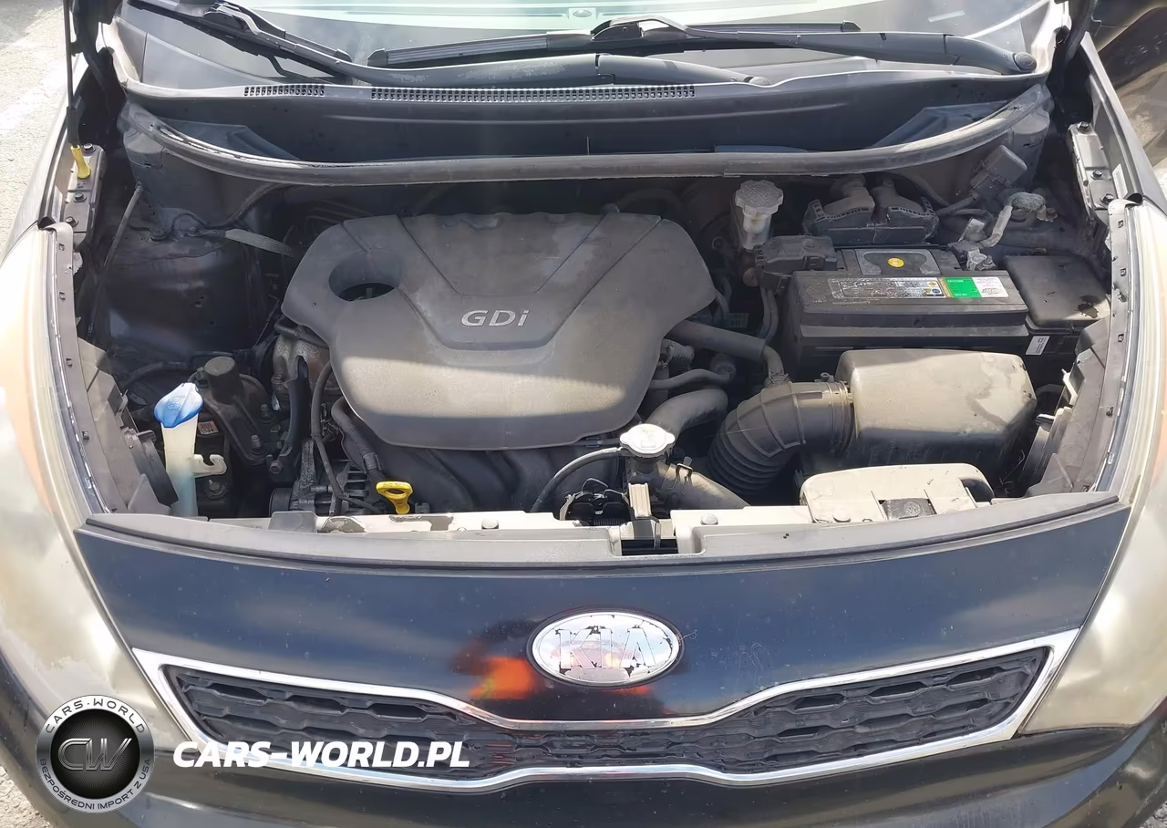 2014 Kia Rio Ex VIN:KNADN5A32E6360381 - 10