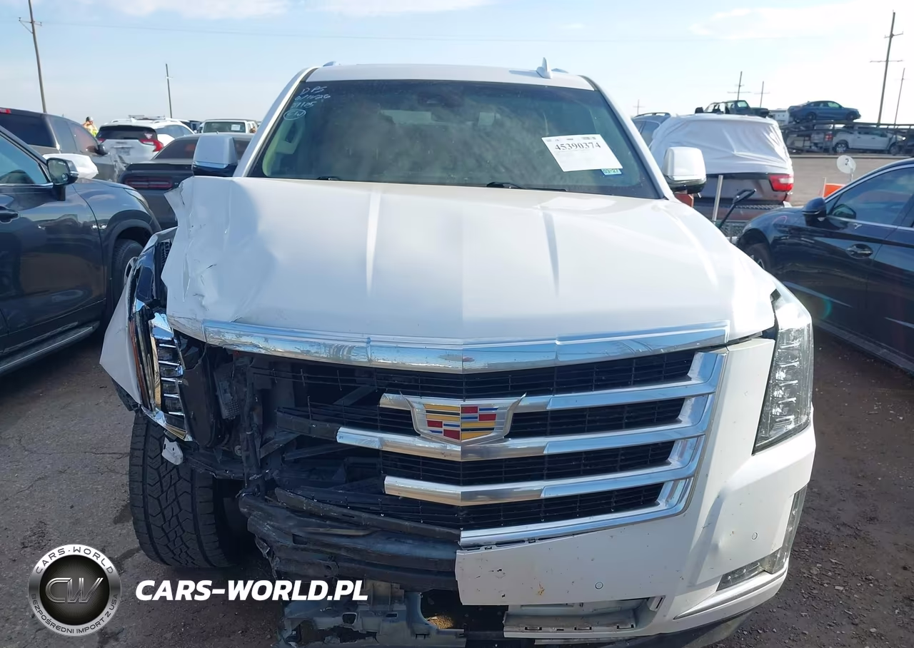 2019 Cadillac Escalade Luxury VIN:1GYS3BKJ4KR321159 - 13