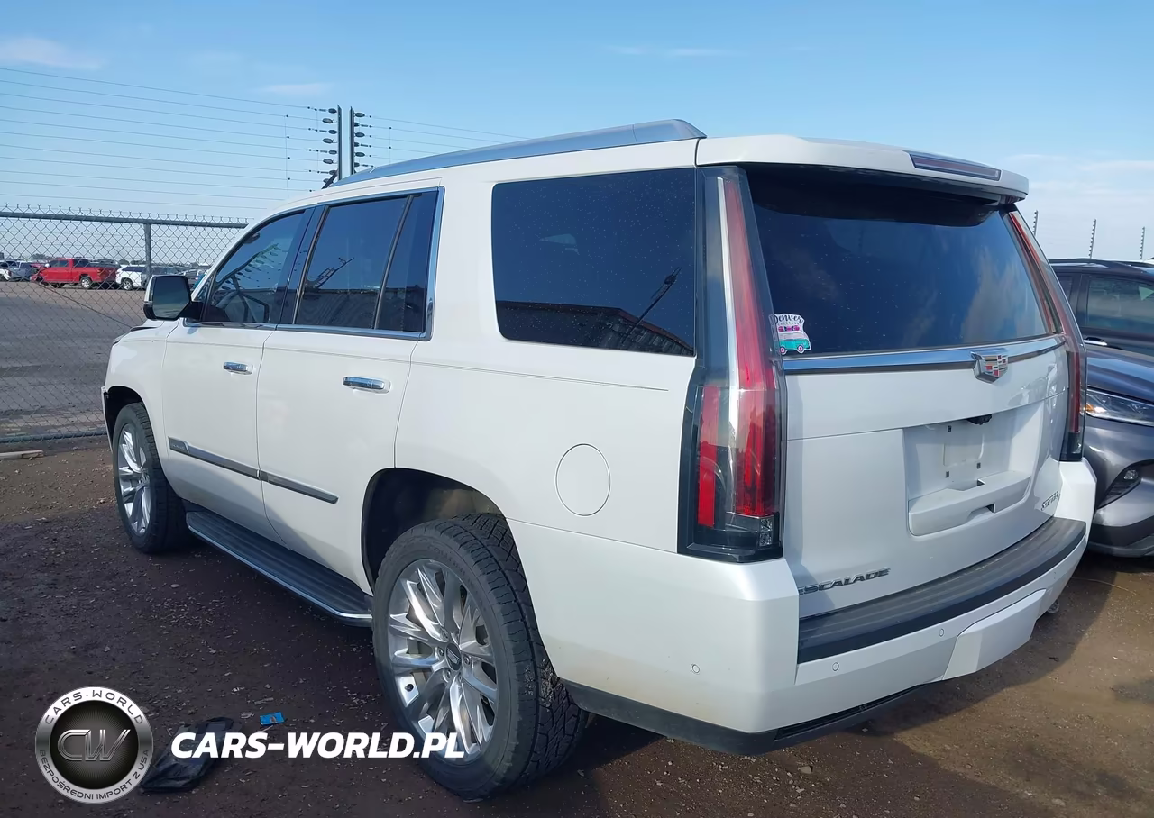 2019 Cadillac Escalade Luxury VIN:1GYS3BKJ4KR321159 - 3