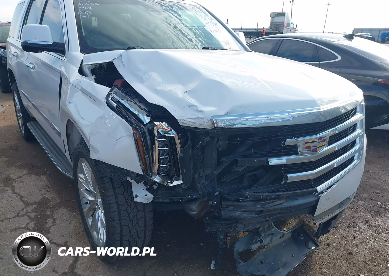 2019 Cadillac Escalade Luxury VIN:1GYS3BKJ4KR321159 - 6