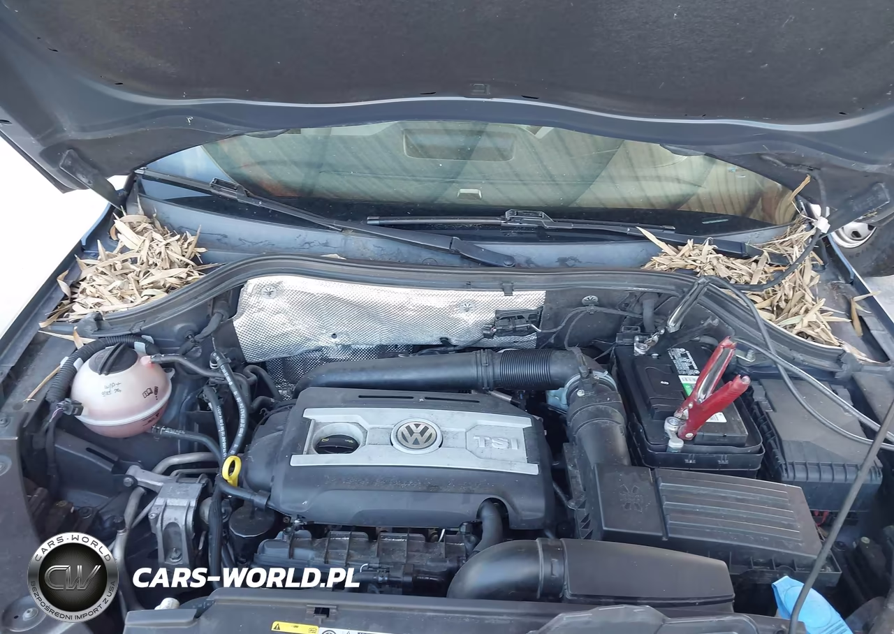 2016 Volkswagen Tiguan S VIN:WVGAV7AX9GW601002 - 10