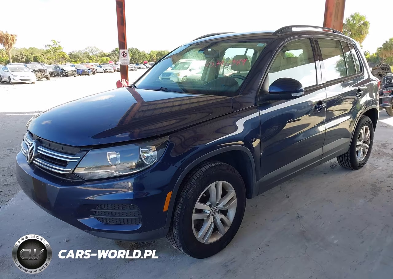 2016 Volkswagen Tiguan S VIN:WVGAV7AX9GW601002 - 2