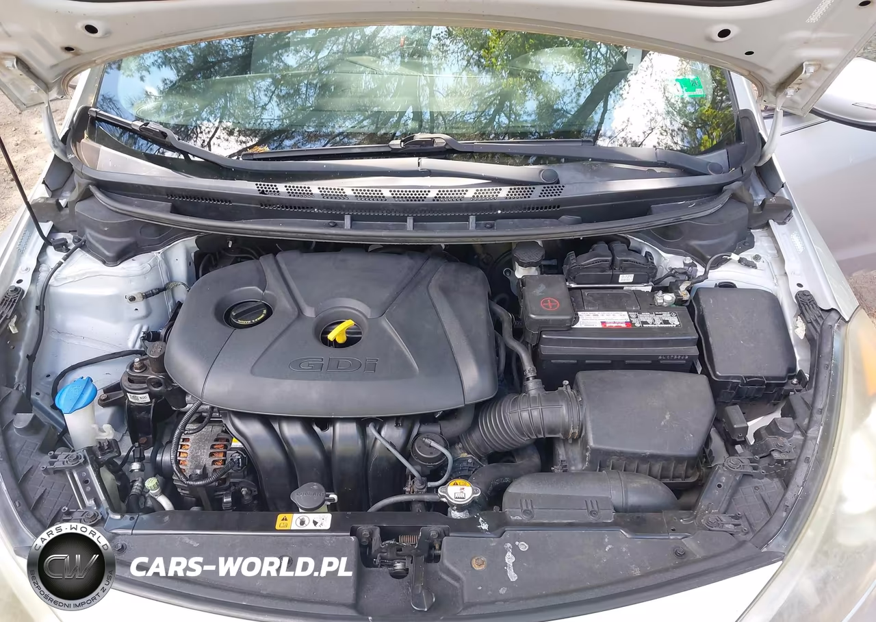 2014 Kia Forte Ex VIN:KNAFX4A88E5073013 - 10
