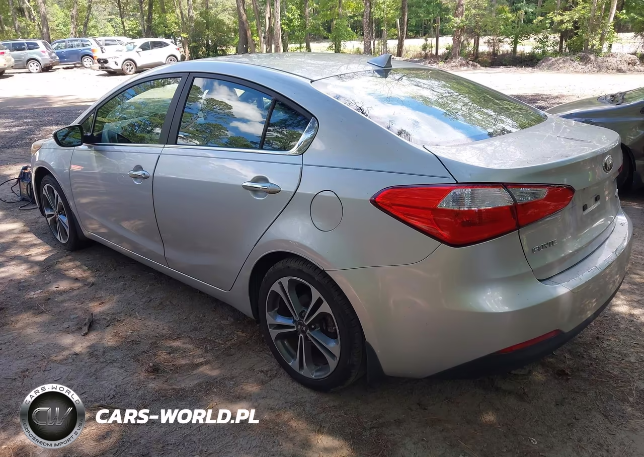 2014 Kia Forte Ex VIN:KNAFX4A88E5073013 - 3