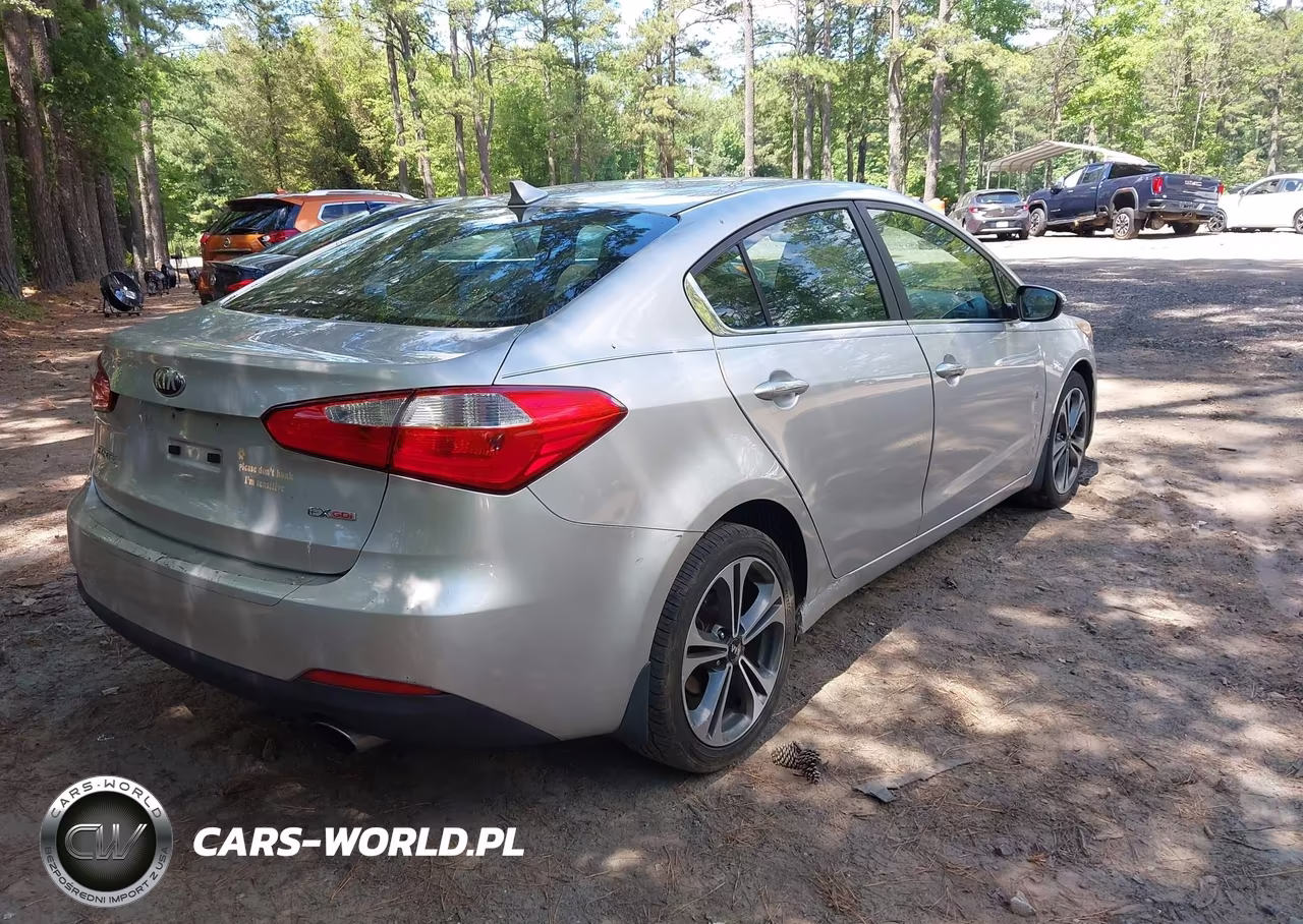 2014 Kia Forte Ex VIN:KNAFX4A88E5073013 - 4