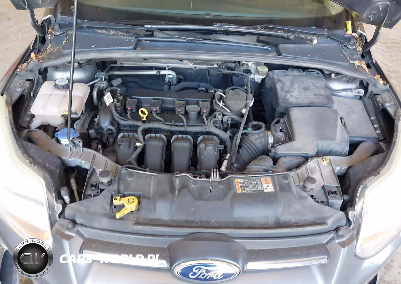 2014 Ford Focus Se VIN:1FADP3F24EL369821 - 10