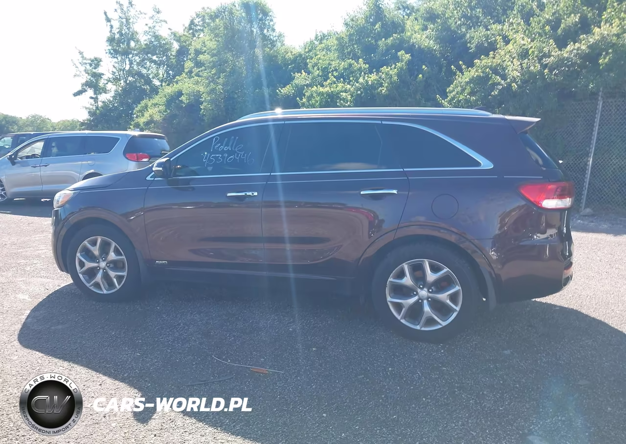2016 Kia Sorento 3.3L Sx VIN:5XYPKDA50GG076946 - 15