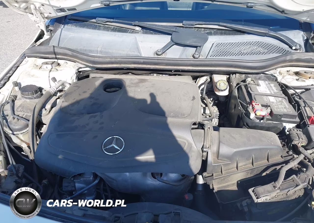 2015 Mercedes-Benz Cla 250 VIN:WDDSJ4EB5FN163283 - 10