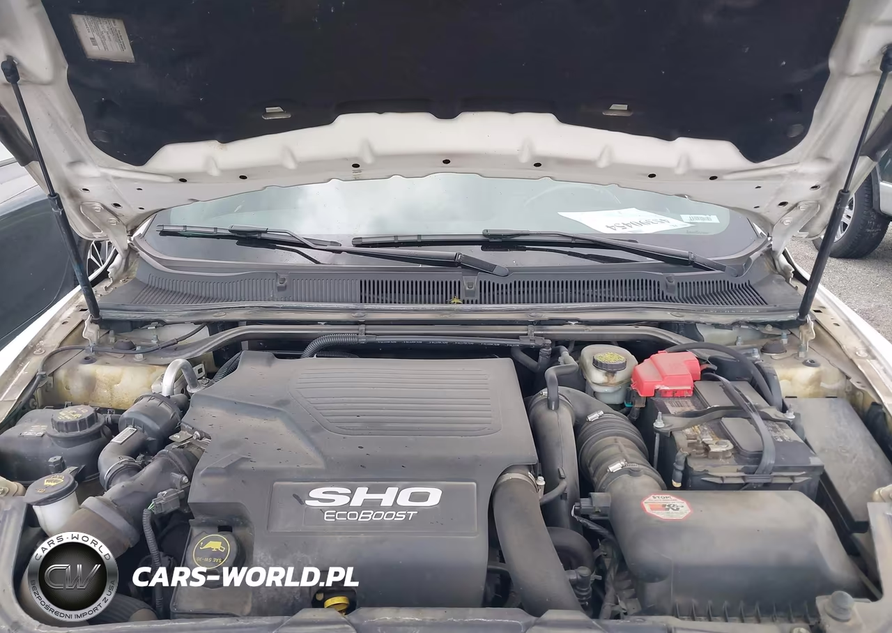 2018 Ford Taurus Sho VIN:1FAHP2KT0JG103063 - 10