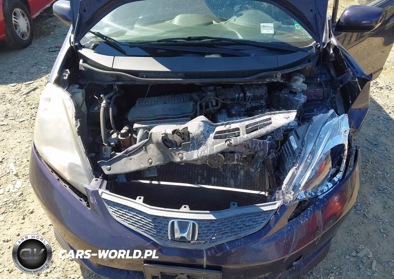 2010 Honda Fit Sport VIN:JHMGE8H41AC008287 - 10