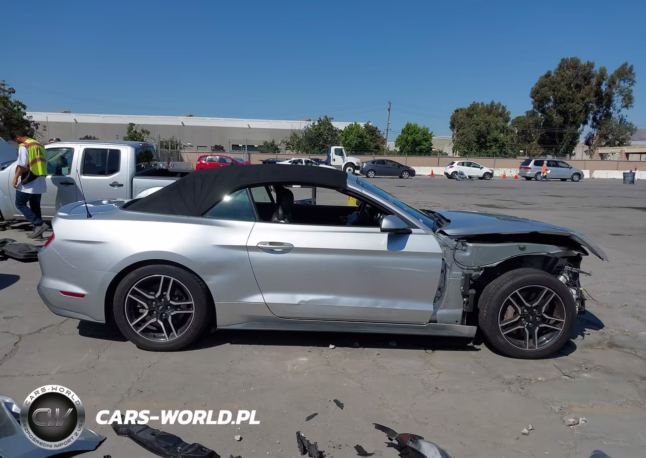 2019 Ford Mustang Gt Premium VIN:1FATP8FF4K5169954 - 14