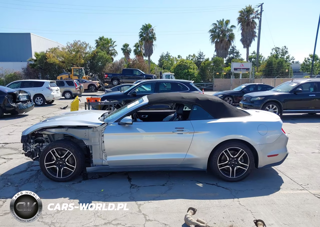 2019 Ford Mustang Gt Premium VIN:1FATP8FF4K5169954 - 15