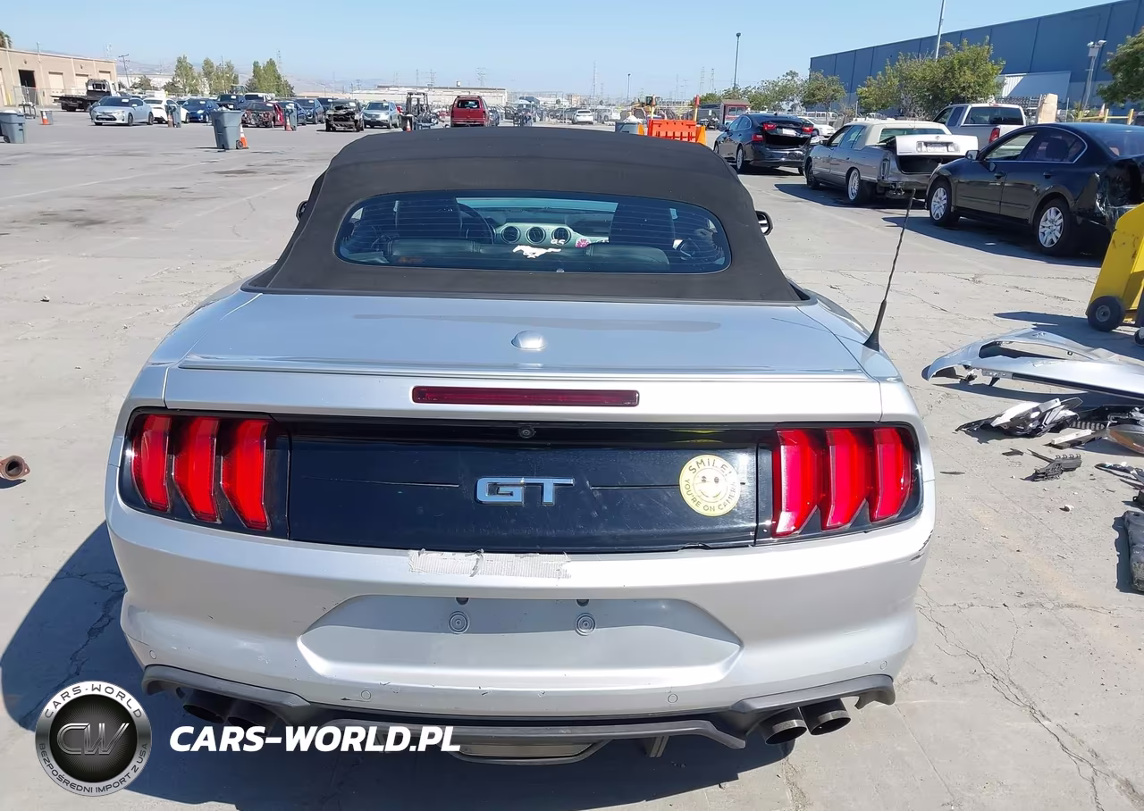 2019 Ford Mustang Gt Premium VIN:1FATP8FF4K5169954 - 17